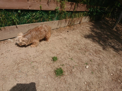 f:id:roukenhome-ann:20190527142259j:plain