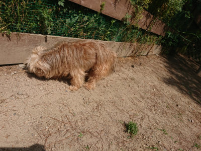 f:id:roukenhome-ann:20190527142314j:plain