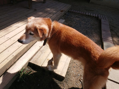 f:id:roukenhome-ann:20190527142319j:plain