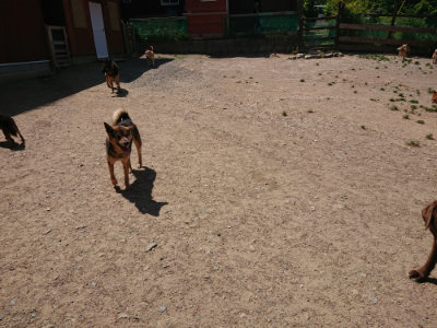 f:id:roukenhome-ann:20190527142330j:plain