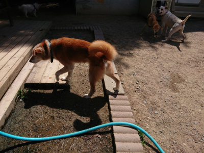 f:id:roukenhome-ann:20190527142346j:plain