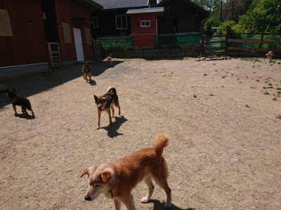 f:id:roukenhome-ann:20190527142409j:plain