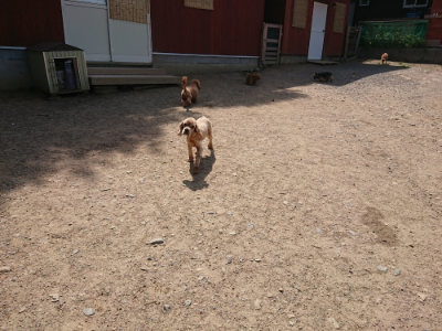 f:id:roukenhome-ann:20190527142429j:plain