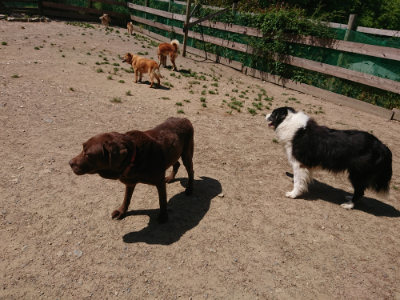 f:id:roukenhome-ann:20190527142434j:plain