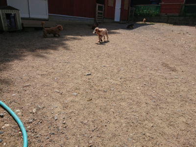 f:id:roukenhome-ann:20190527142440j:plain