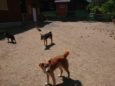 f:id:roukenhome-ann:20190527142446j:plain