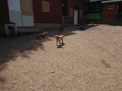 f:id:roukenhome-ann:20190527142454j:plain
