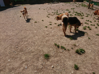 f:id:roukenhome-ann:20190527142510j:plain