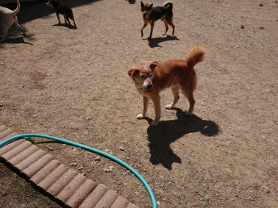 f:id:roukenhome-ann:20190527142522j:plain