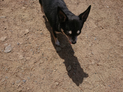 f:id:roukenhome-ann:20190527142528j:plain