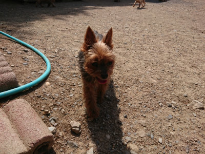 f:id:roukenhome-ann:20190527142532j:plain