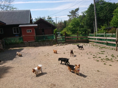 f:id:roukenhome-ann:20190527142544j:plain