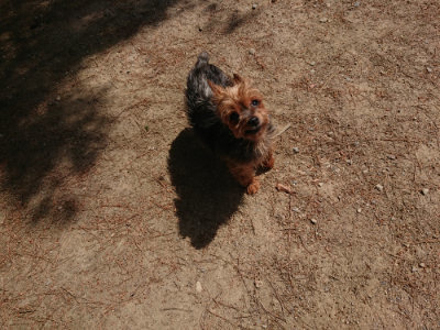 f:id:roukenhome-ann:20190527142548j:plain
