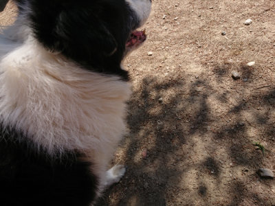 f:id:roukenhome-ann:20190527142620j:plain