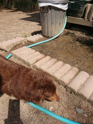 f:id:roukenhome-ann:20190527142630j:plain