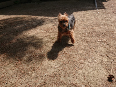 f:id:roukenhome-ann:20190527142650j:plain