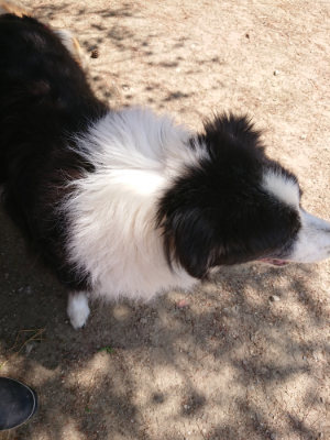 f:id:roukenhome-ann:20190527142655j:plain