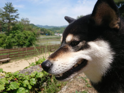 f:id:roukenhome-ann:20190527142705j:plain