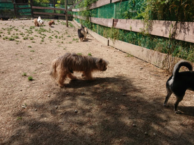 f:id:roukenhome-ann:20190527142710j:plain