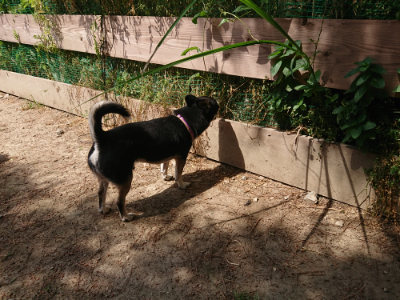 f:id:roukenhome-ann:20190527142726j:plain