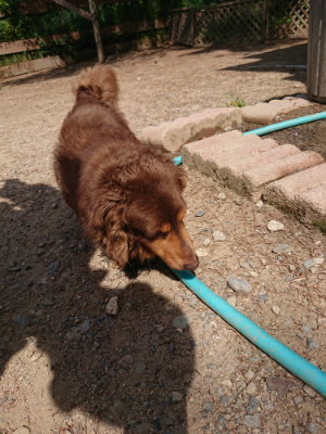 f:id:roukenhome-ann:20190527142739j:plain