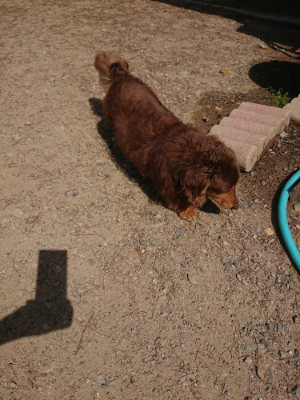 f:id:roukenhome-ann:20190527142759j:plain