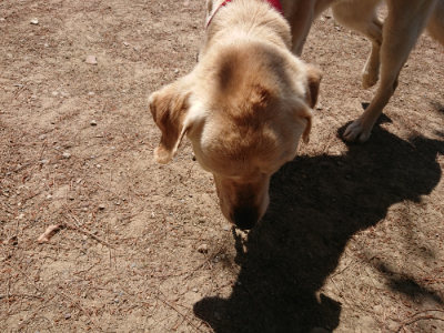 f:id:roukenhome-ann:20190527142818j:plain