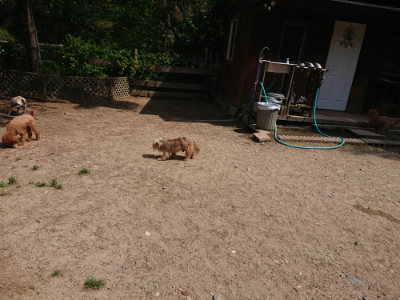 f:id:roukenhome-ann:20190527142910j:plain