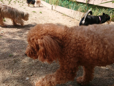 f:id:roukenhome-ann:20190527142926j:plain