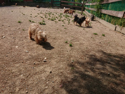 f:id:roukenhome-ann:20190527142944j:plain