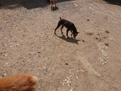 f:id:roukenhome-ann:20190527143008j:plain