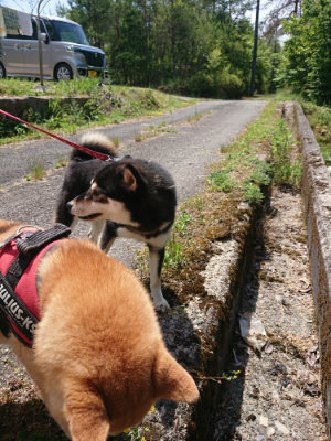 f:id:roukenhome-ann:20190527143018j:plain