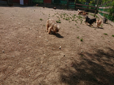 f:id:roukenhome-ann:20190527143040j:plain