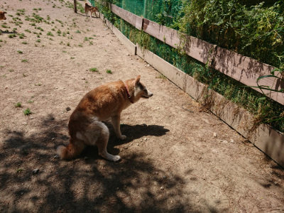 f:id:roukenhome-ann:20190527143134j:plain