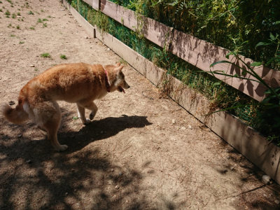 f:id:roukenhome-ann:20190527143232j:plain