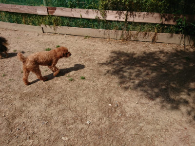 f:id:roukenhome-ann:20190527143248j:plain