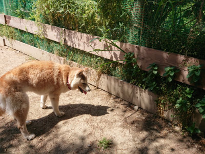f:id:roukenhome-ann:20190527143259j:plain