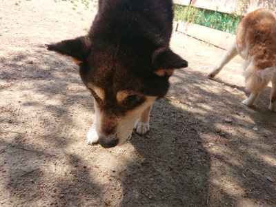 f:id:roukenhome-ann:20190527143319j:plain
