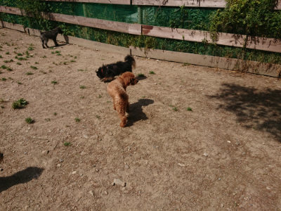 f:id:roukenhome-ann:20190527143331j:plain