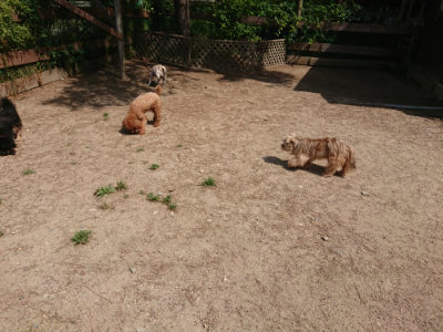 f:id:roukenhome-ann:20190527143346j:plain
