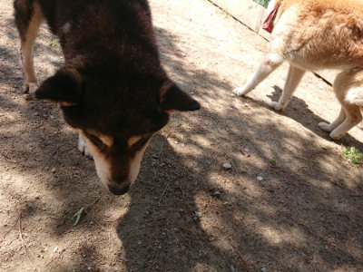 f:id:roukenhome-ann:20190527143354j:plain