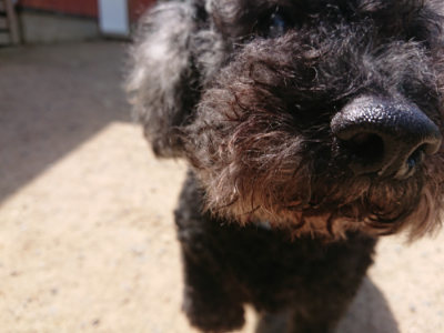 f:id:roukenhome-ann:20190527143359j:plain