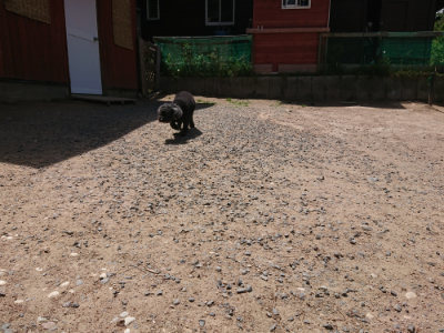 f:id:roukenhome-ann:20190527143416j:plain