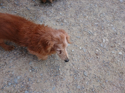 f:id:roukenhome-ann:20190527143537j:plain