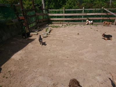 f:id:roukenhome-ann:20190527143606j:plain