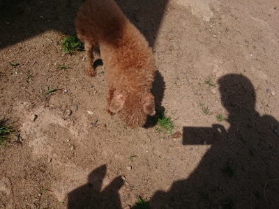 f:id:roukenhome-ann:20190527143611j:plain