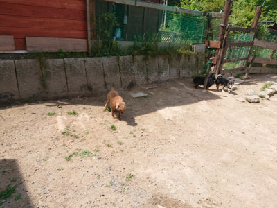 f:id:roukenhome-ann:20190527143626j:plain