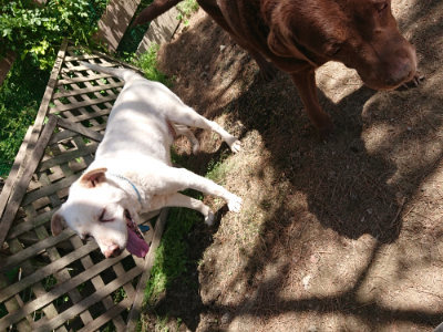f:id:roukenhome-ann:20190527143631j:plain