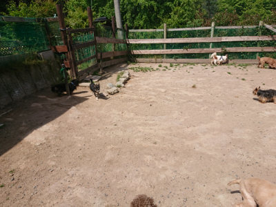 f:id:roukenhome-ann:20190527143644j:plain