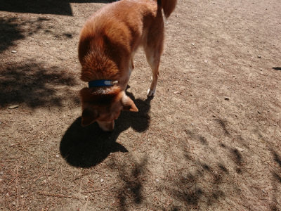 f:id:roukenhome-ann:20190527143650j:plain
